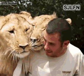i14053213122.gif