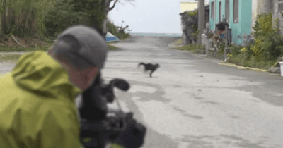 Honeycam_2015-10-01_15-43-12.gif