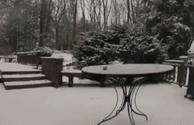 image (2).gif