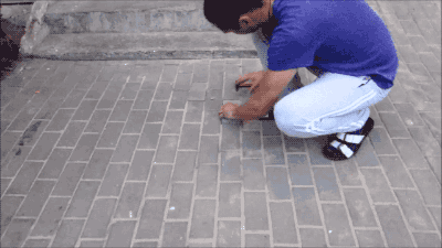 17.gif