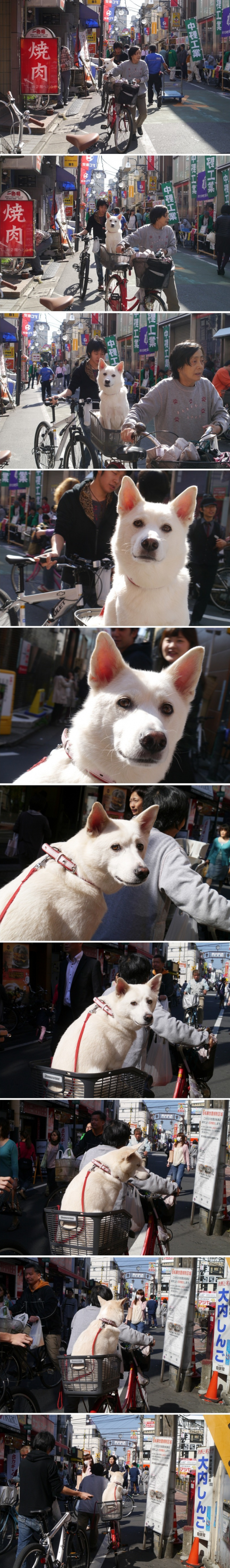 i12240595233 (6).png