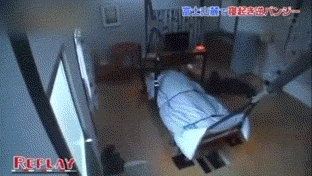 i12338751084.gif