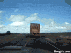 목숨을_건_추월.gif