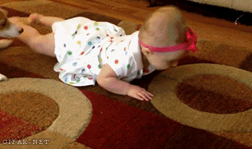 i10494263331.gif
