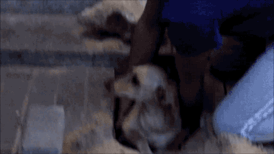 20.gif