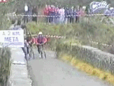 i13973983130.gif
