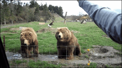 i10476167195.gif
