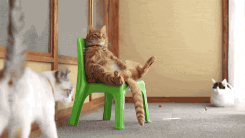 i13172469010.gif