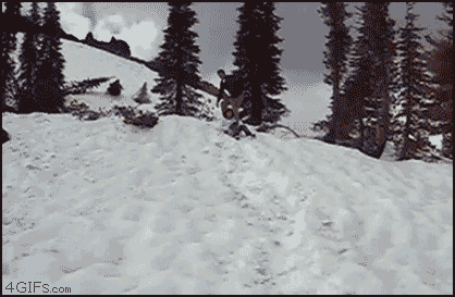 CA85671884e326d9.gif