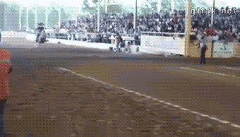 i13394165915.gif