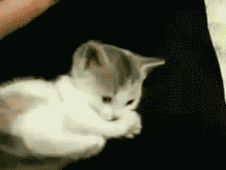 i13651435273.gif