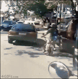 i13655313549.gif