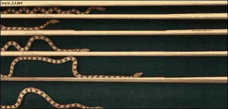 i12731378735.gif