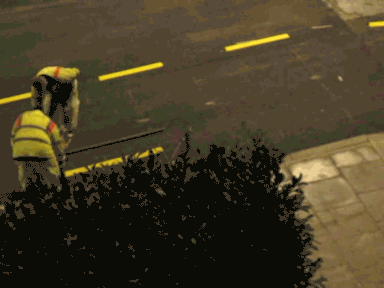 8.gif
