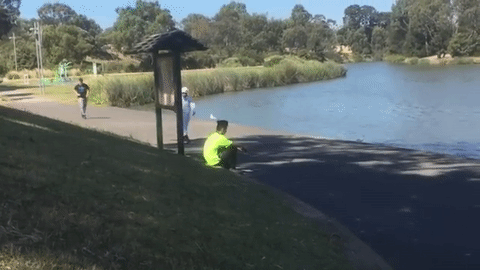 10.gif