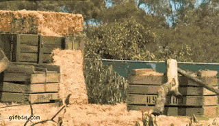 HQw568a6860a6b0e.gif