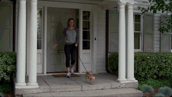 i12775128373.gif