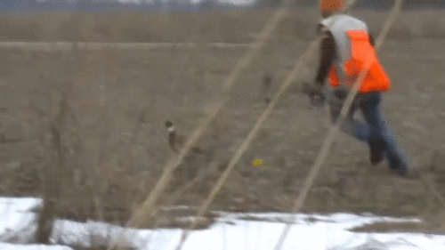 4.gif