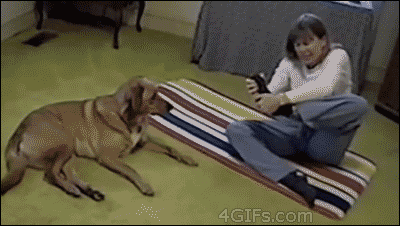 3d25afba0a060a7ae97c1bd7201be58b[1].gif
