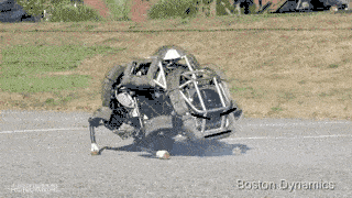 i13528538175.gif