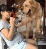 ecda0379c8df1befbf7b9676eaa56e6a[1].gif