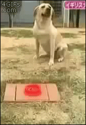 4b02ae51e3531bbc96ab39bafd21674e_1455820973_0151[1].gif