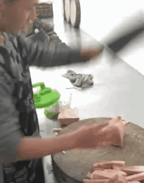 i12431224682.gif