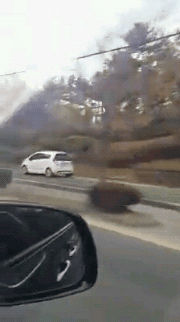 9c365e0cfe29d330838121aa088179f7[1].gif