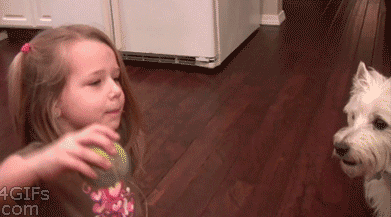 3b0db0acc77094c8758fc426213946cf[1].gif