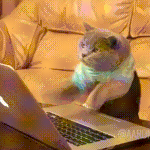 i13545961134.gif