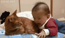 베시2.gif