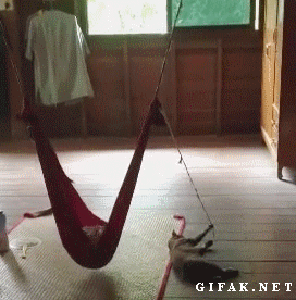 베시4.gif