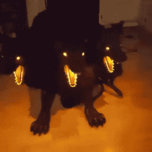 222.gif