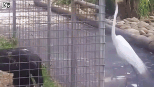i12714399576.gif