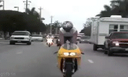 16.gif