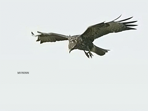 i13461818663.gif