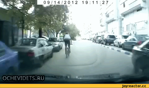 상남자.gif