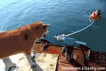 pdswait_3944544_1460978367.25599.gif