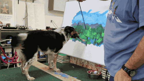 i13082948247.gif