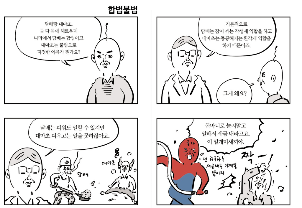 대마와 담배의 차이.jpg