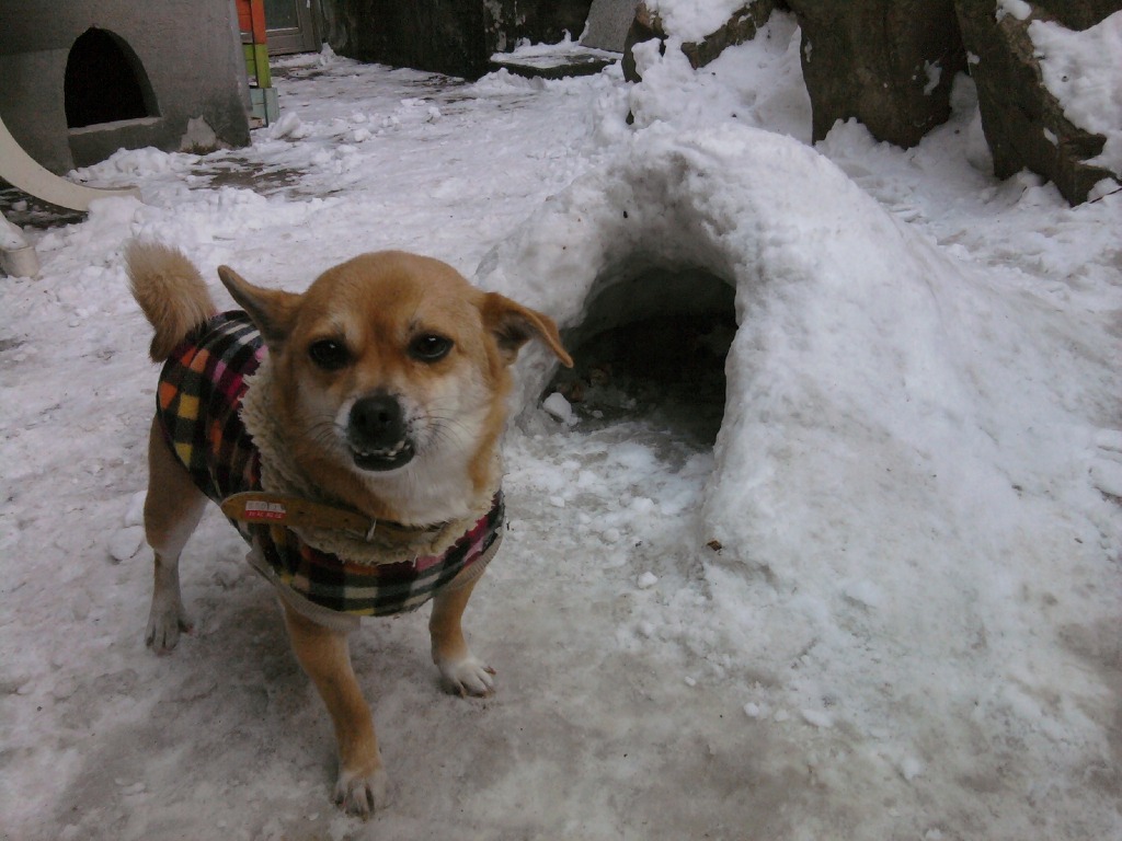 눈강집2.jpg