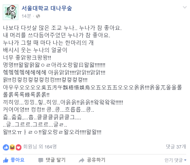 i13144885053.png