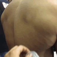 i11106349380.gif