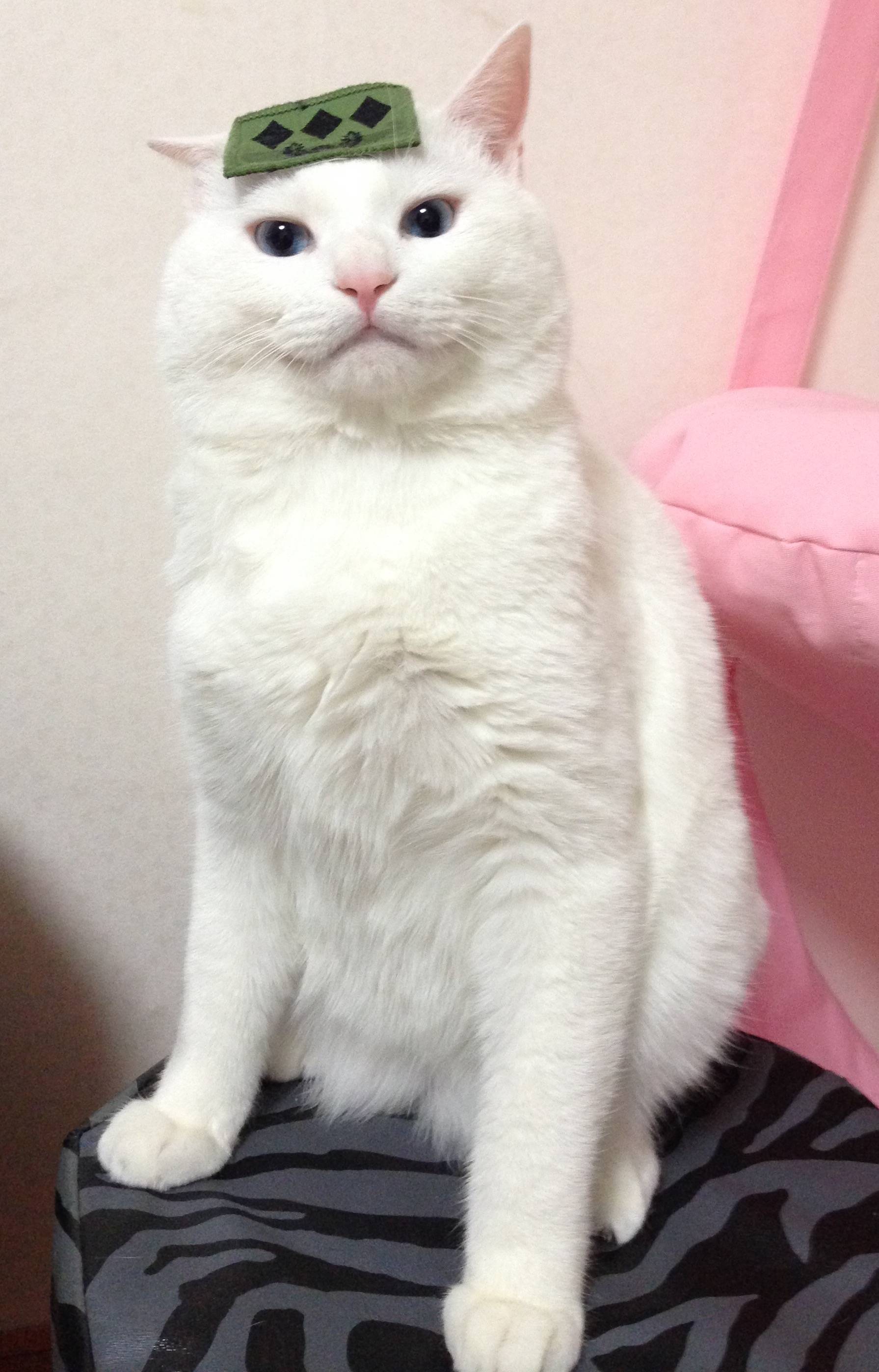 유시냥.jpg