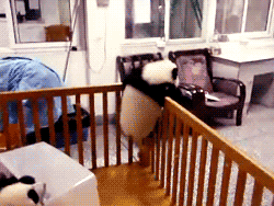 2.gif