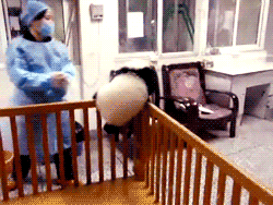 3.gif