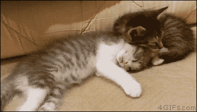 어이쿠 잘자네.gif