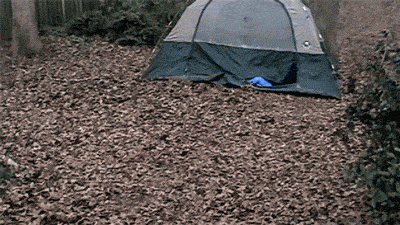 1466906714faf3ee7a1d054571902c018b9335eb25__w400__h225__f1314587__Ym201606.gif