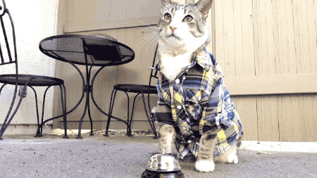 40acdb785f619f393b54820ab022360b.gif