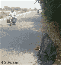 1465807980bc2d628b5df347549c309fa2e8c53a89__mn66866__w202__h216__f2091439__Ym201606.gif